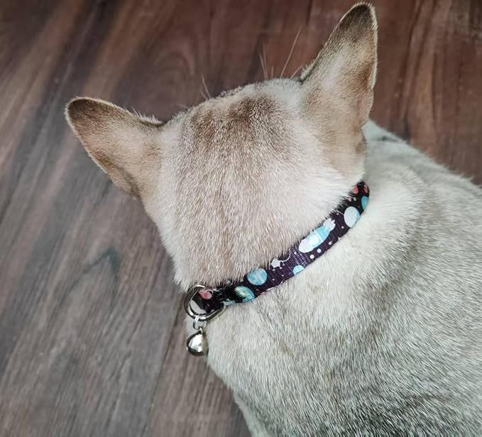 Cat Collar, 2 Pack Breakaway Collar - Image 7