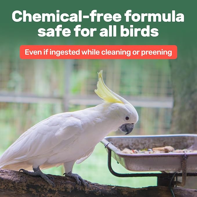 Aloe Vera Bird Spray - Image 4