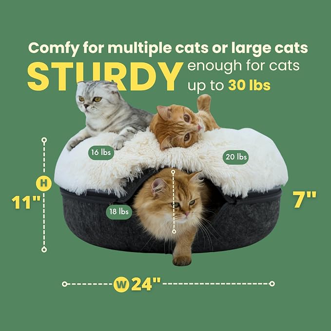 CATTASAURUS Peekaboo Cat Cave for Multiple & Large Cats Up to 30-45 Lbs - Image 4
