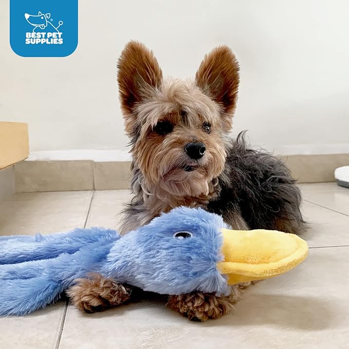 Best Pet Supplies Interactive Squeaky Dog Chew Toy, Ideal Dog Toys - Image 7