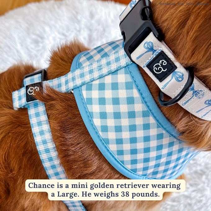 Lucy & Co. Dog Collar - Image 3