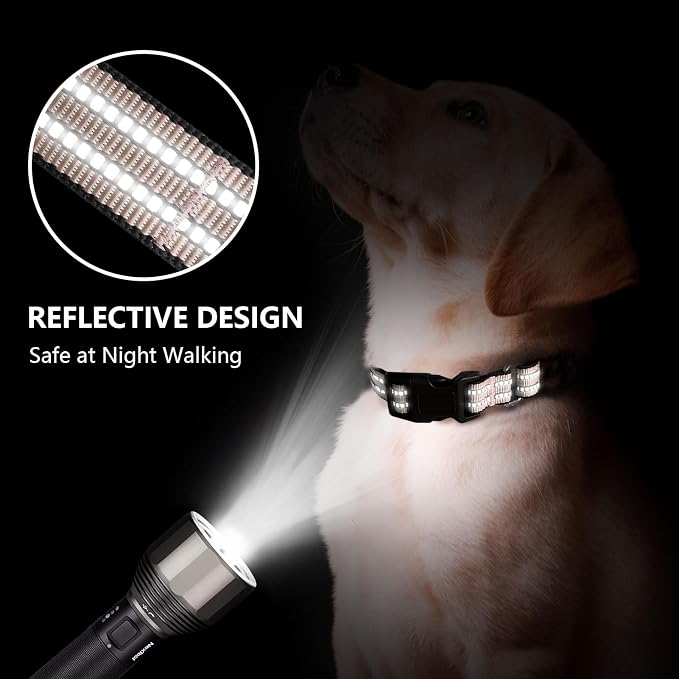 Martingale Dog Collar, Adjustable Nylon Reflective Collar - Image 3