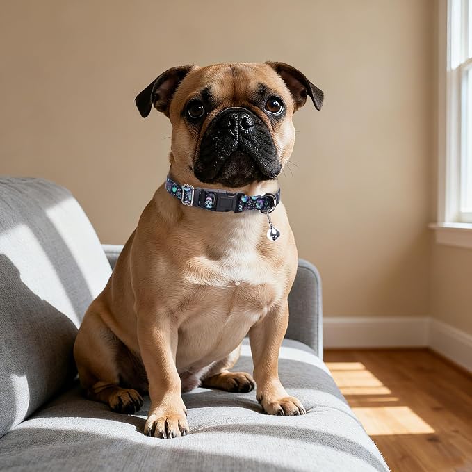 Small Dog Collar with Bell - Image 5