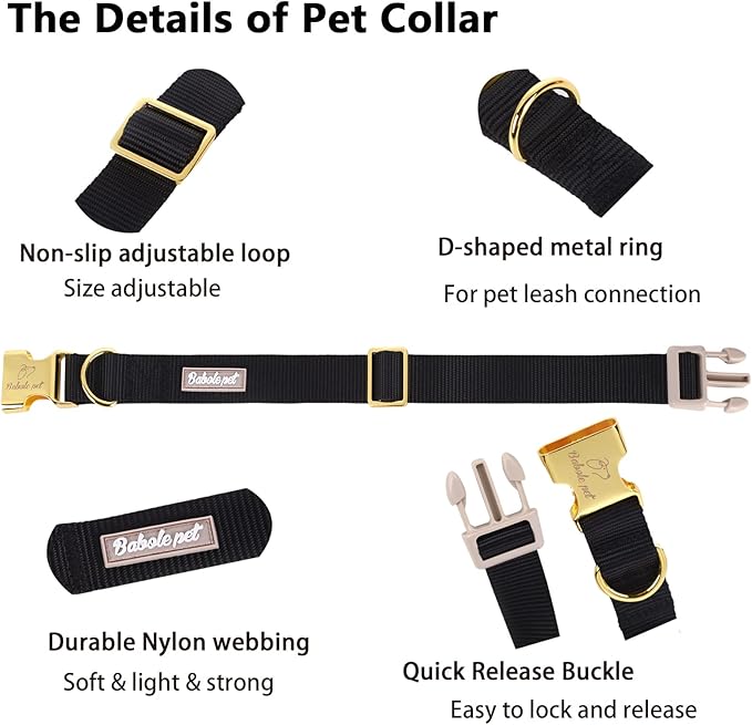 Nylon Dog Collar - Image 4