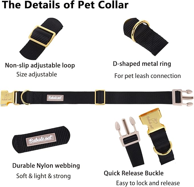 Nylon Dog Collar - Image 4