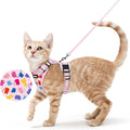rabbitgoo Cat Harness and Leash by rabbitgoo
