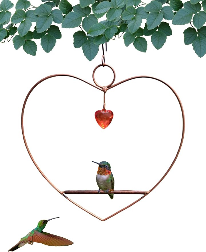 Songbird Essentials Hummingbird Swing by SongbirdEssentials