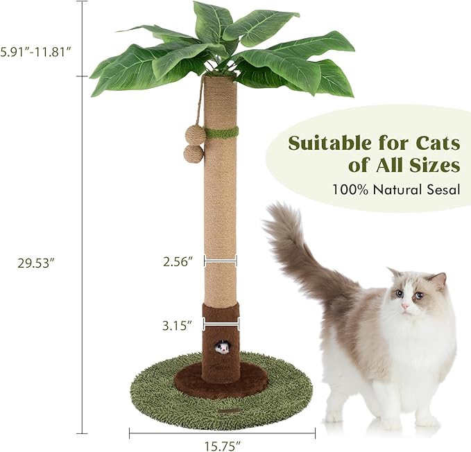 Cat Scratching Post for Indoor Cats and Kitten - Image 7