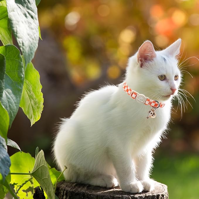 Cat Collar-2Pack Autumn Orange Plaid Kitten Collars-Halloween Plaid Breakaway - Image 6