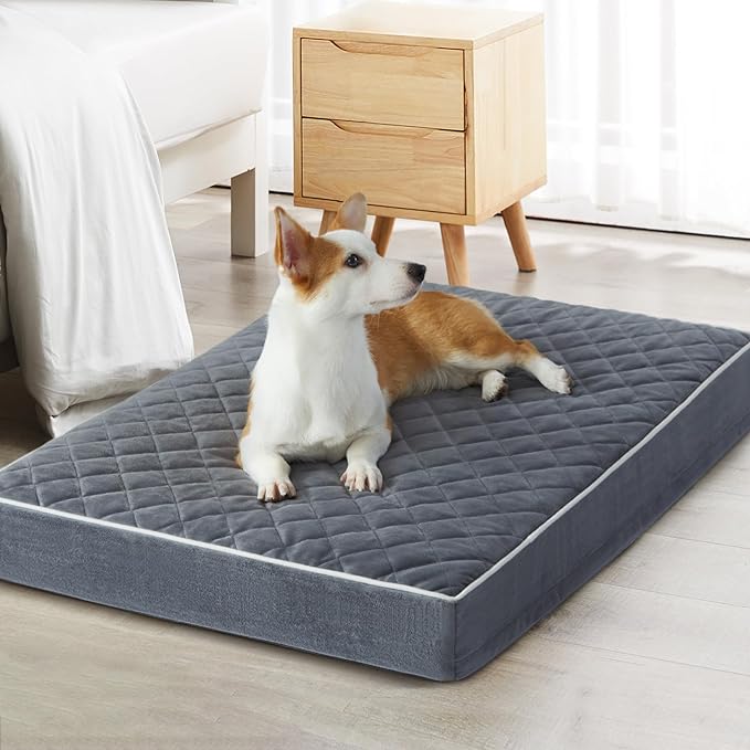 WNPETHOME Orthopedic XXL Dog Beds Large Sized Dog, Waterproof Extra Large Dogs by WNPETHOMEPETSHOME