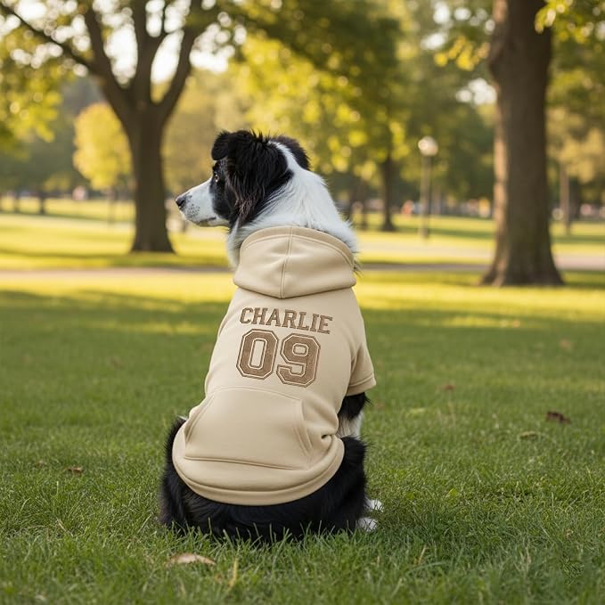 Personalized Dog Hoodie, Custom Embroidered Name Pet Hoodie, Warm Winter Outfit - Image 5