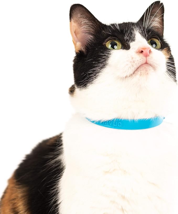 Nuvuq Breakaway Cat Collar - Image 6