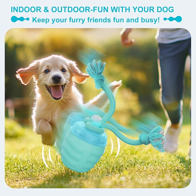 Interactive Dog Toy, Motion Activated Rolling Squeaky Ball - Image 2