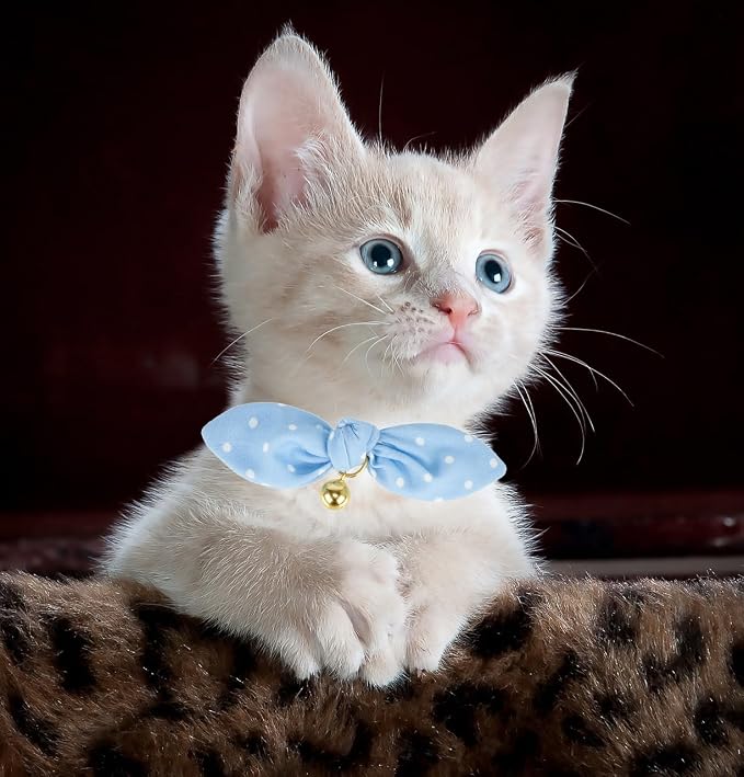 Bowtie Cat Collar with Bell, 2 Pack Cotton Breakaway Kitten Collars with - Image 8