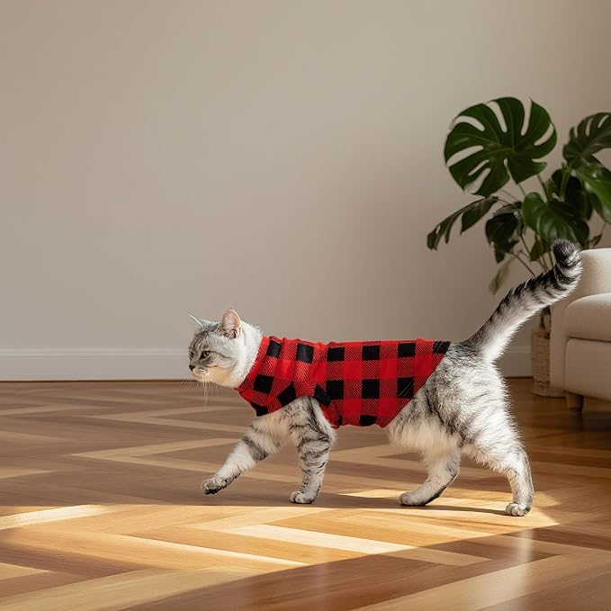 EXPAWLORER Soft Cat Sweater - Image 6