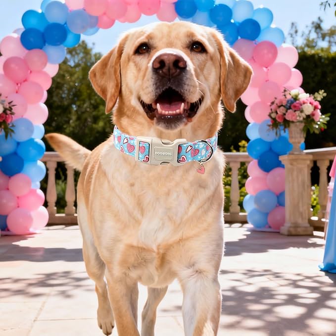 DOGWONG Blue Heart Dog Collar, Cute Valentine Puppy Collar, Valentine's Day Dog - Image 5