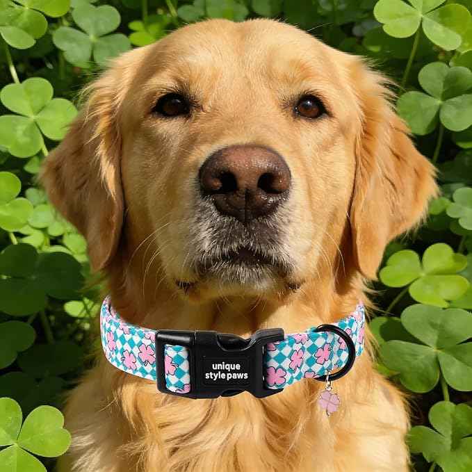Unique style paws Dog Collar Plastic Buckle