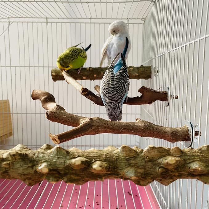 Allazone 5 PCS Natural Wooden Parrot Stand Bird Perch Stand Grape Stick Hanging - Image 7