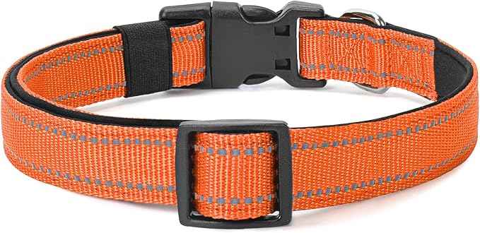 Reflective Dog Collar Padded