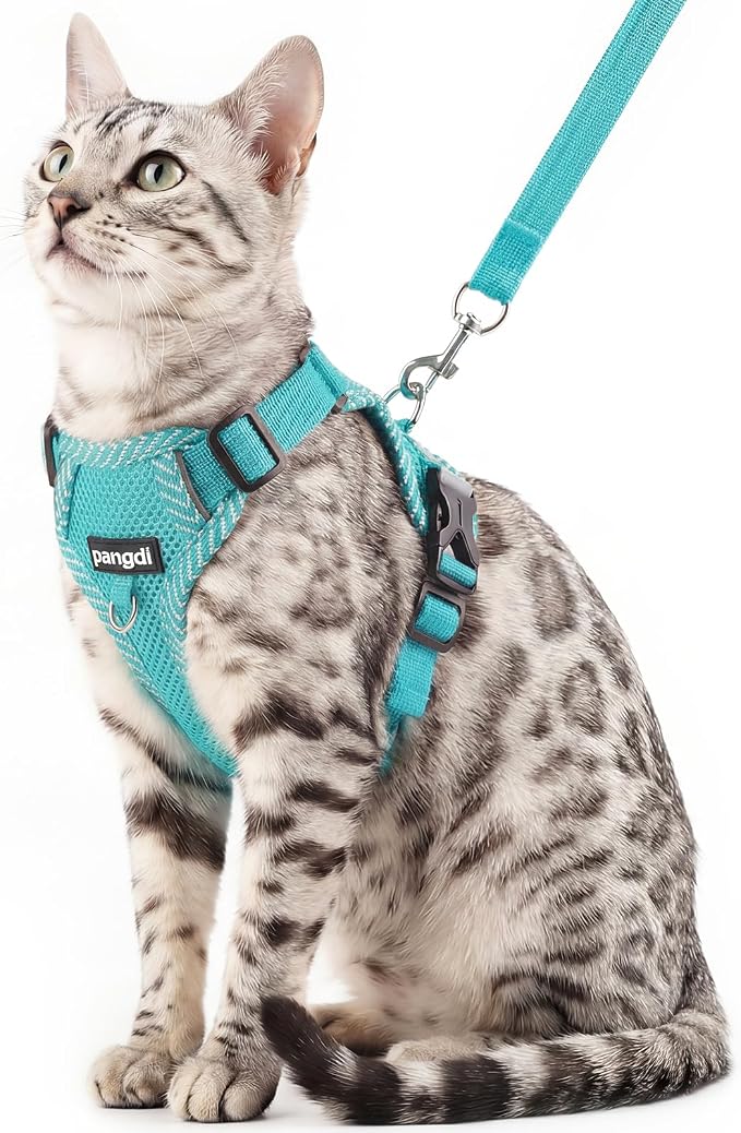 Cat Harness and Leash Escape Proof Large Kitten Harness Ragdoll Cat Vest by pangdi