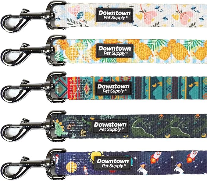 Downtown Pet Supply 5ft Heavy-Duty Dog Leash by DowntownPetSupply
