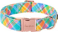 Unique style paws Easter Dog Collar Plastic Buckle Puppy Collar Colorful Plaid by Uniquestylepaws