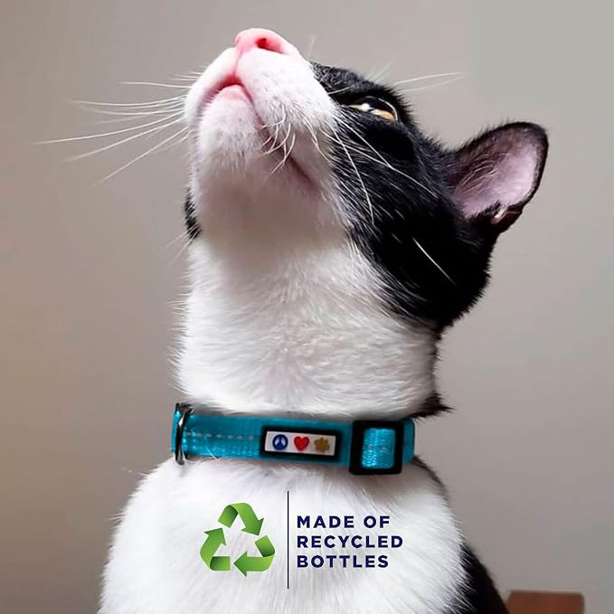 Pawtitas Recycled Coral Reflective Cat Collar – Eco-Friendly Breakaway Safety - Image 3