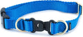 PetSafe KeepSafe Collar for Dogs by PetSafe
