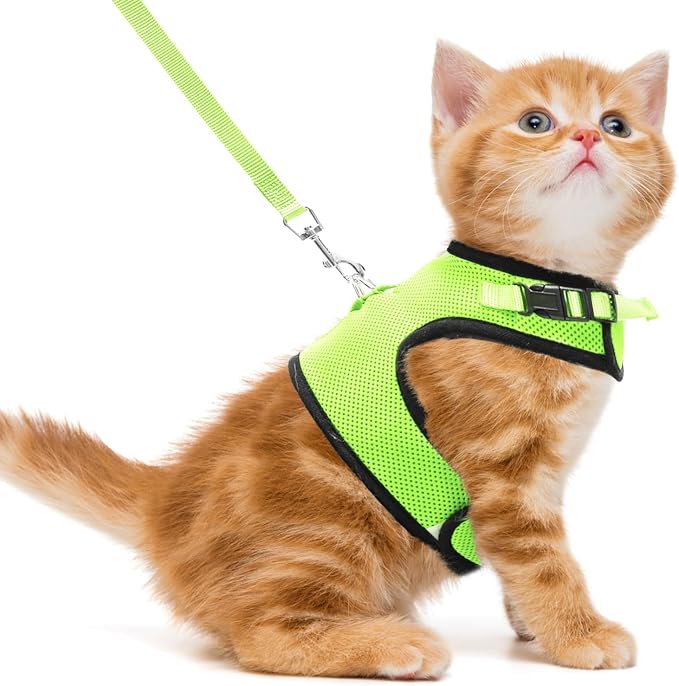 PUPTECK Soft Mesh Cat Vest Harness and Leash Set Puppy Padded Pet Harnesses by PUPTECK