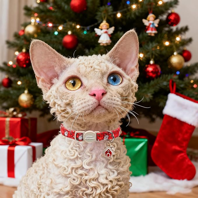 Unique style paws 2 Pack Christmas Kitten Collar Breakaway - Image 6