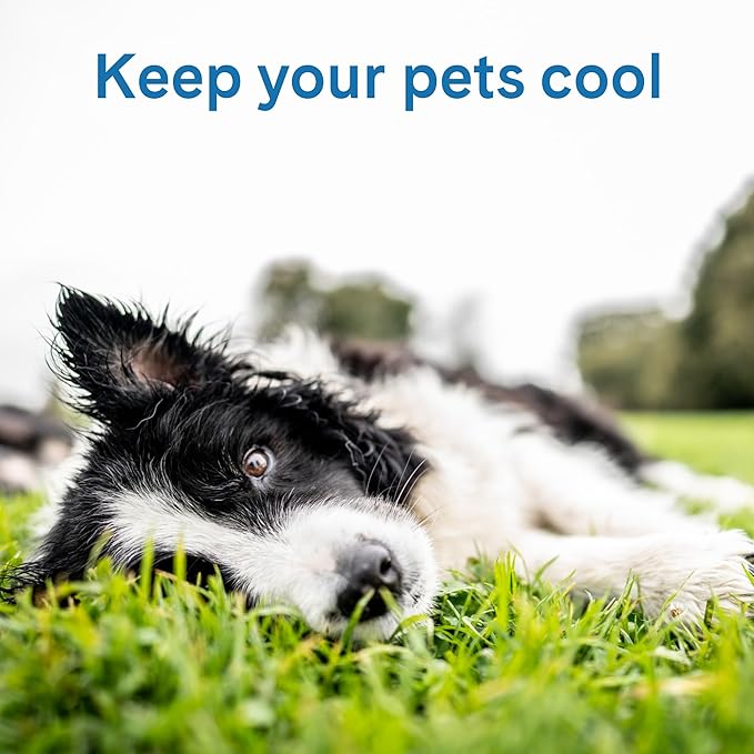 The Green Pet Shop Cool Pet Pad - Image 4
