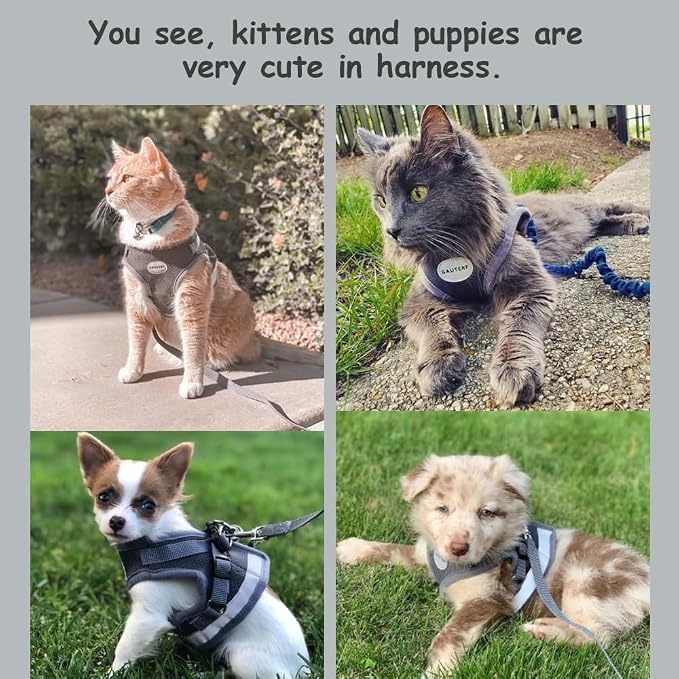 Cat Harnesses and Puppy Harness - Image 3
