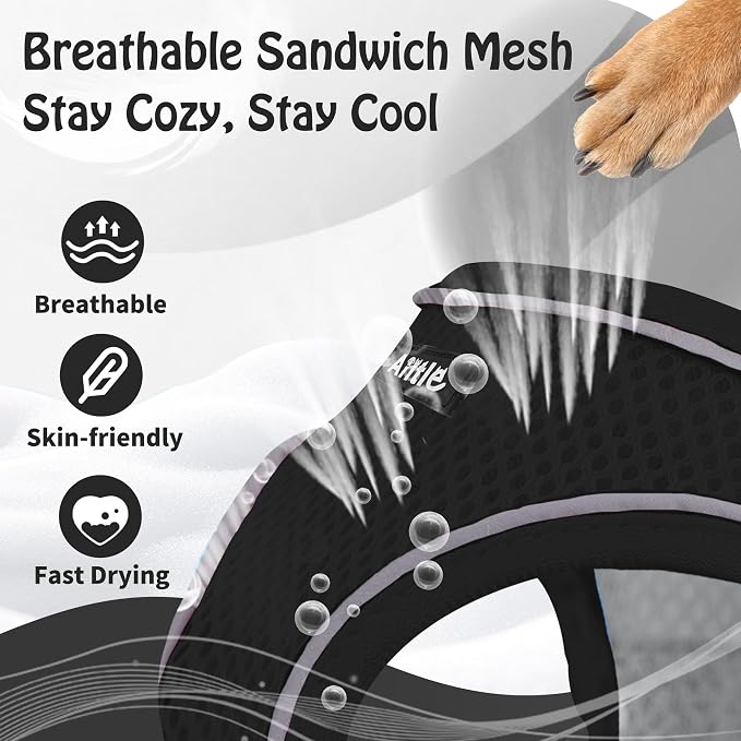 AIITLE Escape Proof Dog Harness - Image 5