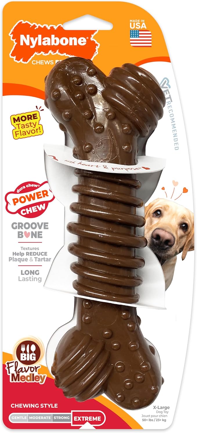 Nylabone Textured Dental Bone Power Chew Toy - Image 9