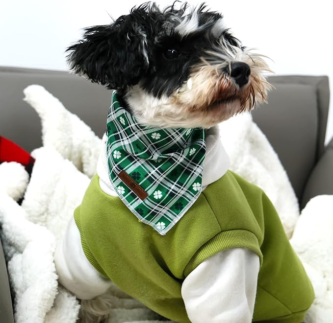lionet paws St Patricks Dog Bandana - Image 3