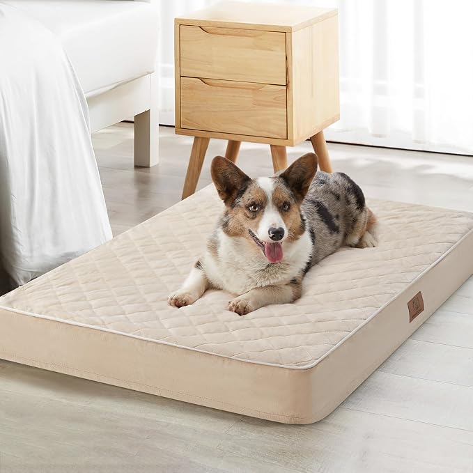WNPETHOME Orthopedic Giant Dog Beds Large Sized Dog, Waterproof Extra Large by WNPETHOMEPETSHOME