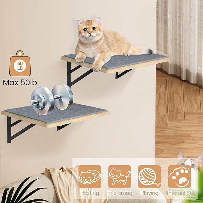 Burlywood Cat Furniture Indoor Set of 2: Wood Shelves - Image 5