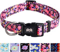 QQPETS Adjustable Soft Dog Collar: Print Flower Pink Multicolor Cute Patterns by QQPETS