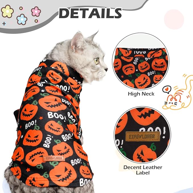 EXPAWLORER Cat Halloween Sweater - Image 2