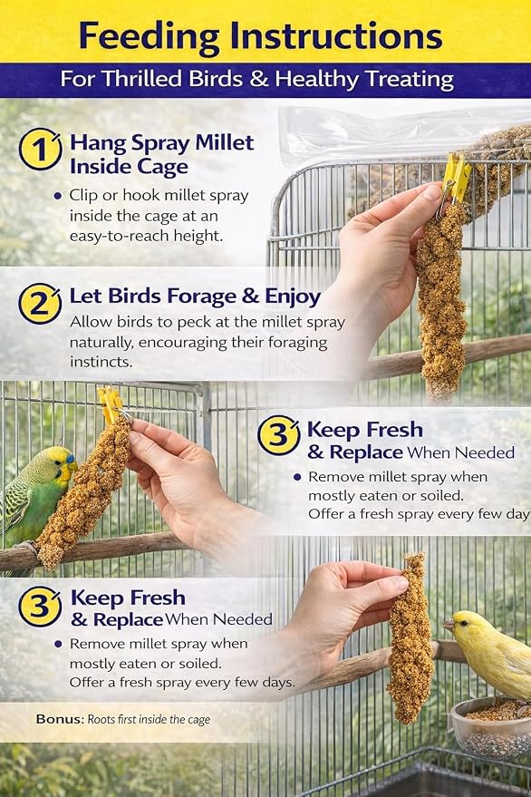 1lb Millet Tips & Tails for Birds - Image 4