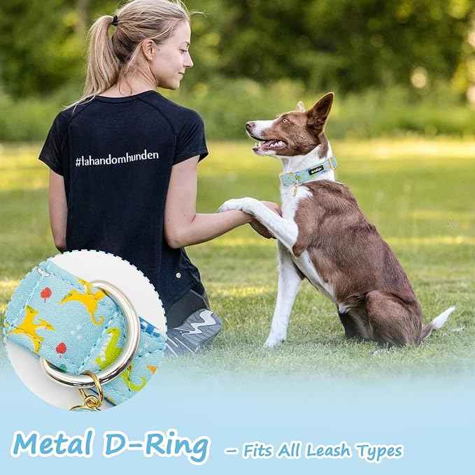 Dinosaur Dog Collar for Extra Small Dogs, Cute Puppy Collars