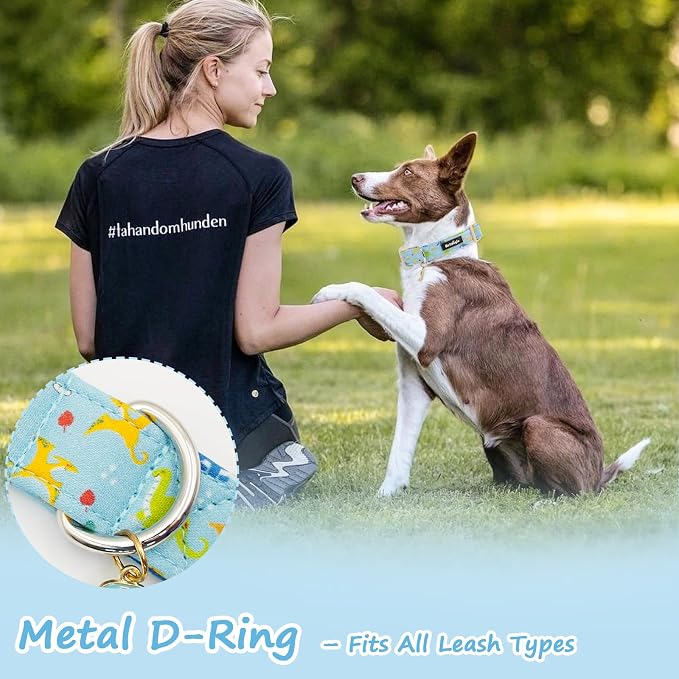Dinosaur Dog Collar for Medium Dogs, Cute Puppy Collars - Image 6