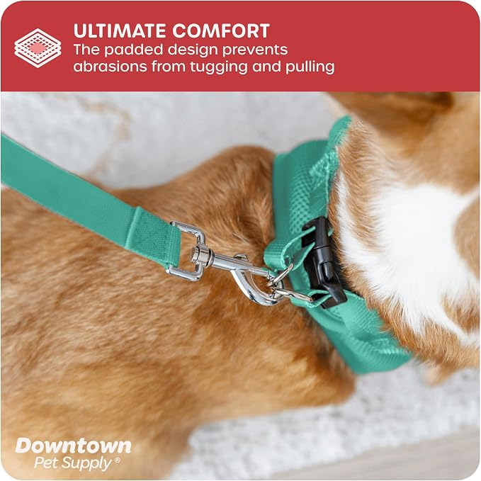Downtown Pet Supply Step-in Dog Harness – No Pull, Adjustable Padded Mesh - Image 6
