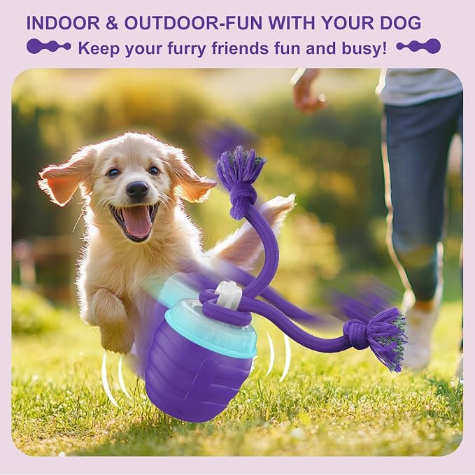 Interactive Dog Toy, Motion Activated Rolling Squeaky Ball - Image 2