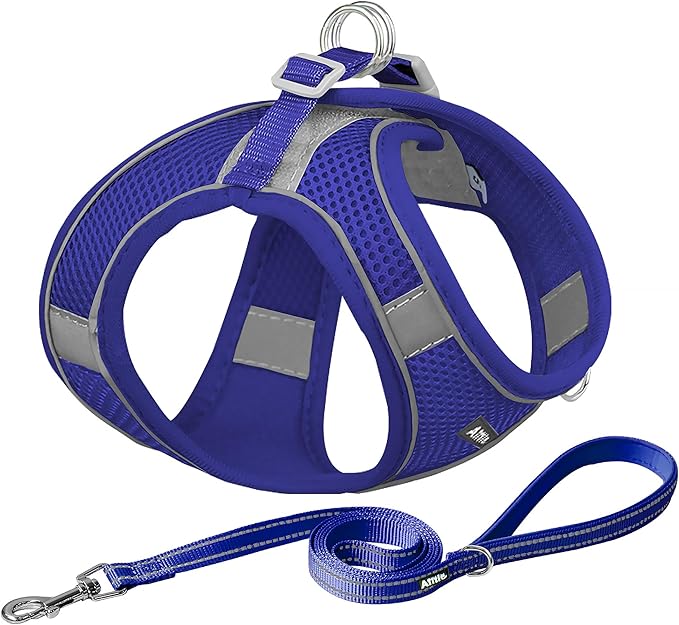 AIITLE Comfortable Dog Harness and Leash Set by AIITLE-FORPETSBETTERLIFE