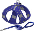 AIITLE Step in Dog Harness and Leash Set by AIITLE-FORPETSBETTERLIFE