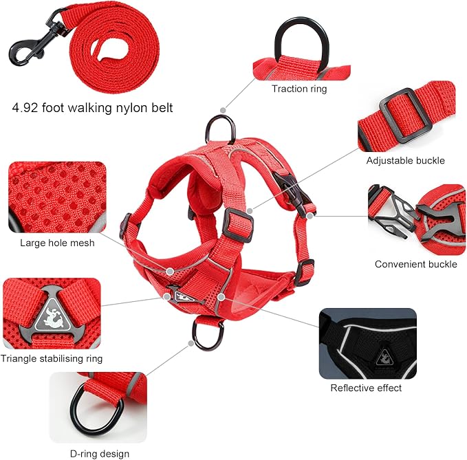 Escape Proof Kitten Harness and Leash Set - Image 2