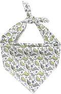 ARING PET Dinosaur Dog Bandanas, Summer Kerchief Triangle Bibs Scarf by ARINGPET