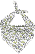 ARING PET Dinosaur Dog Bandanas, Summer Kerchief Triangle Bibs Scarf by ARINGPET