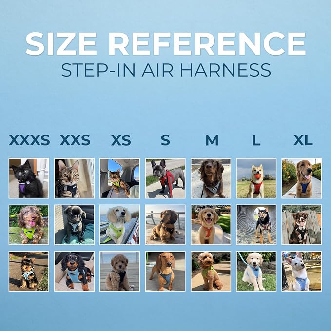 Best Pet Supplies Voyager Step-in Air Harness - Image 6
